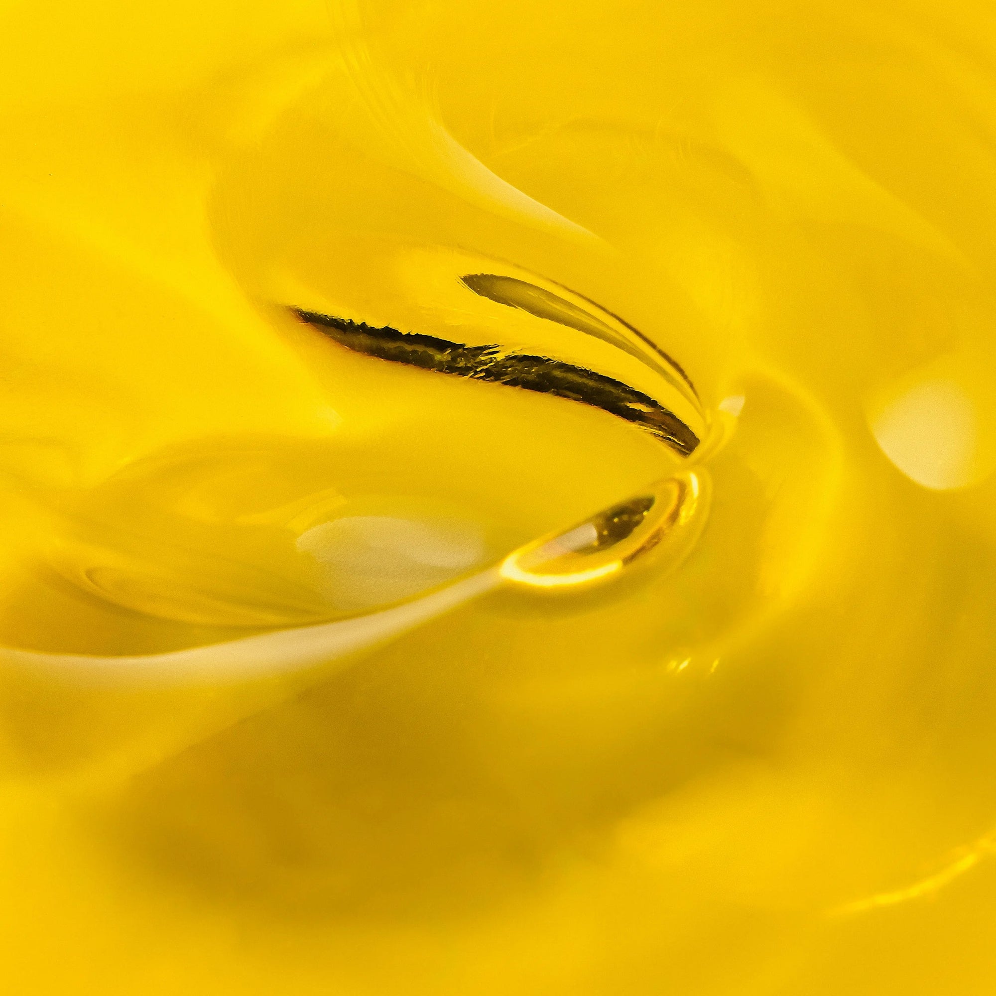 EXPERTISE COSMÉTIQUE, EFFICACITÉ VISIBLE ET SÉCURITÉ CUTANÉE